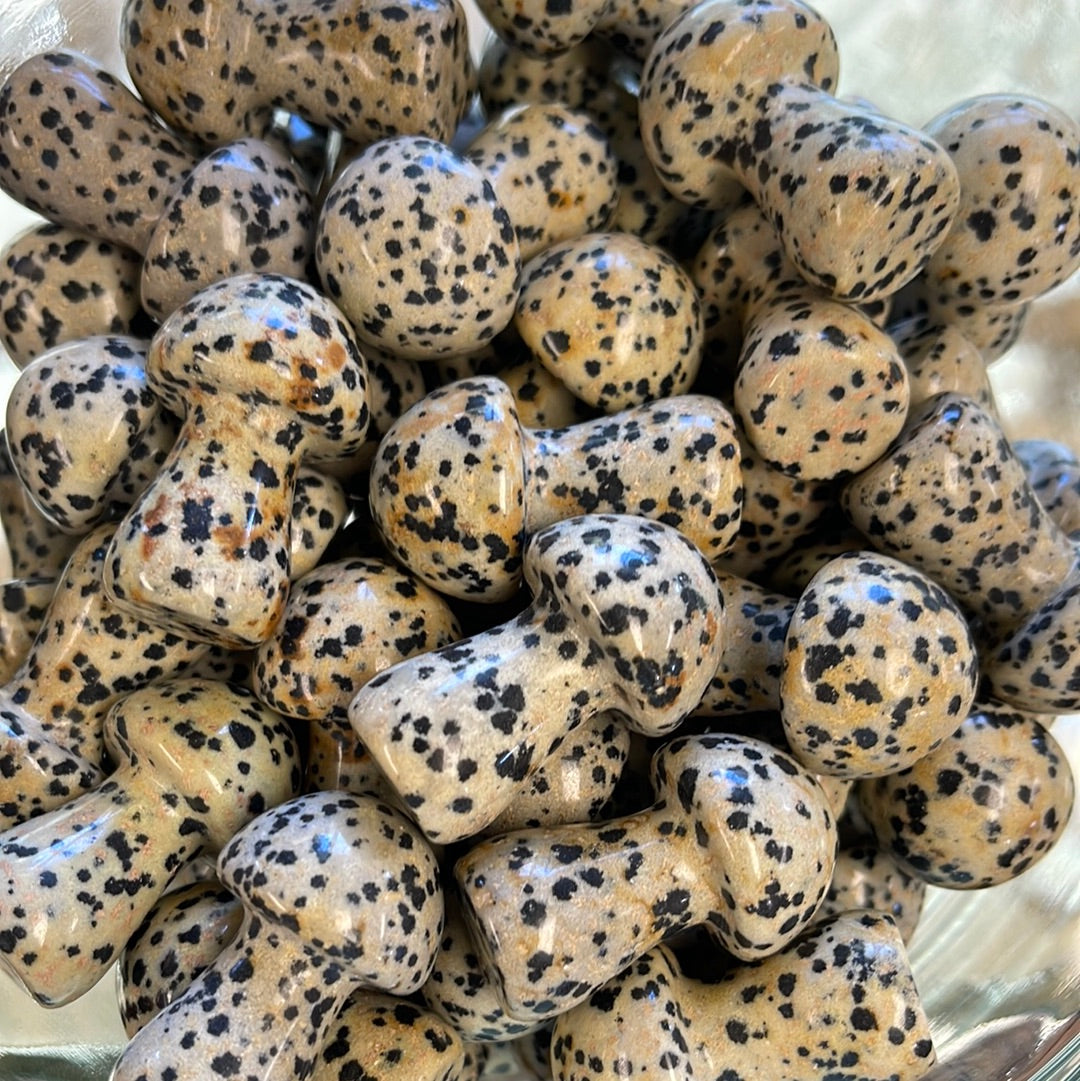 Dalmatian Jasper Mushrooms 1.5 inch Mountain Mineral Market